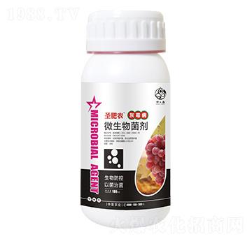 ƿ�b��ù������΢�������-ʥ���r(n��ng)-��ʥ�r(n��ng)�I(y��)