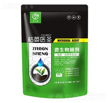 �ݲݡ�����ľù��-��ή�t(y��)ʥ-��ʥ�r(n��ng)�I(y��)