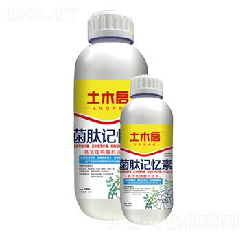 ����ӛ���� ��ľ������