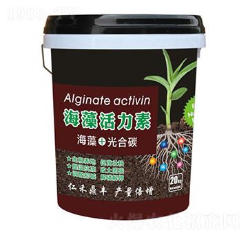 ���������-�ʺ̶��S