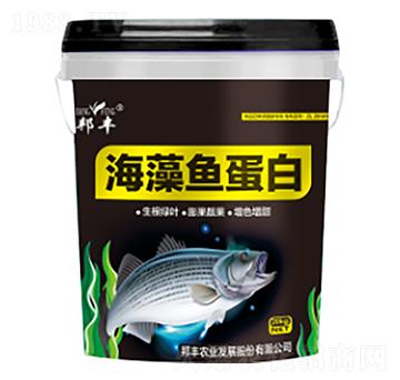 海藻魚蛋白-邦豐農(nóng)業(yè)