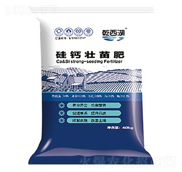 ���}�����-ʥ������