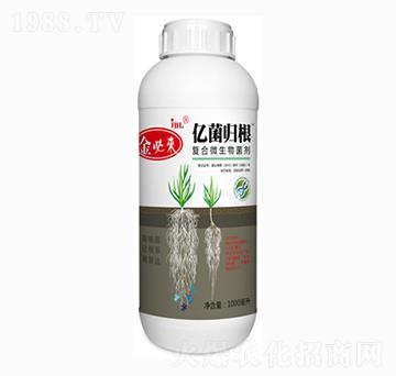 ��(f��)��΢�������-�|���w��-��؁�(l��i)