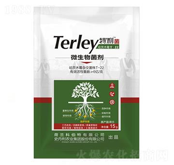 ΢�������-����ʢ-ʷ