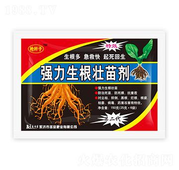 �����������焩-ʥ��ʘI(y��)