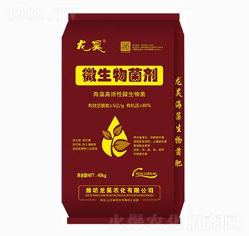 40kg微生物菌劑-龍昊肥業(yè)