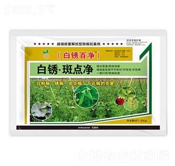 ���P�����c��-���P�ك�-��˲