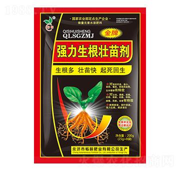 �����������焩-��˲