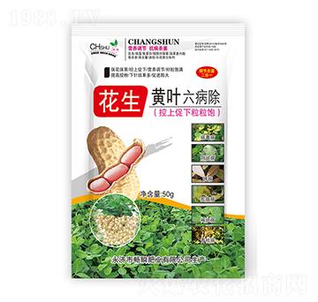 �����S�~������-��˲