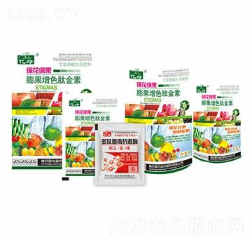 ����������L��ɫ��-��