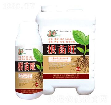 ������-�������r(n��ng)