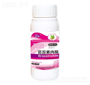 �|̦�؃�(n��i)��-�������r(n��ng)