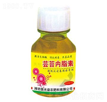 �|̦��(n��i)֬��-�������r(n��ng)