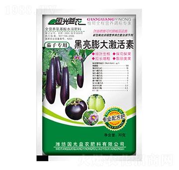 ���Ӻ�����󼤻���-��