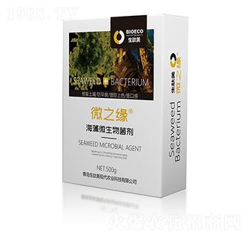 ����΢�������-΢֮�����У�-������