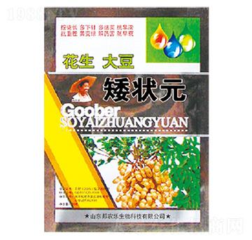 �����󶹌�(zhu��n)��-����Ԫ-��������