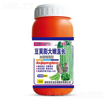 ���v�����ֱ�L-ʥ�ϝ�