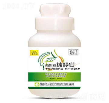 �������Ǵ���-ʥ�ϝ�