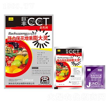 ��(qi��ng)��������������`-���S-ʥ�ϝ�