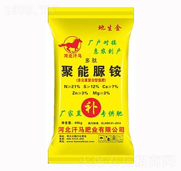 ���ľ������@-������-���R�ʘI(y��)