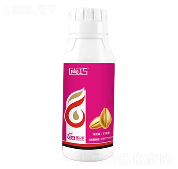 12%���ѡ��������x(ch��ng)-����-��(gu��)�˸�
