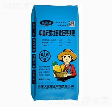 ����Ԫ�؉Ѷ��չ��}�V��