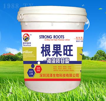 ���������-������-��������