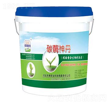 ̼ø��������̼���-̼ø��-�����f�@-��Z�r(n��ng)�I(y��)