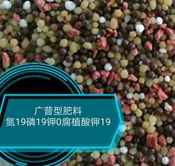 廣普型肥料19-19-0-悅農(nóng)農(nóng)業(yè)