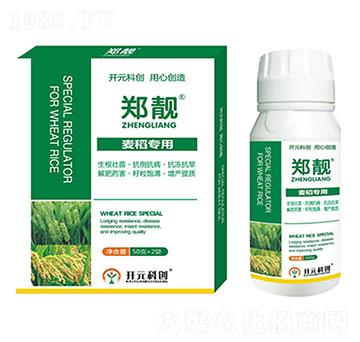 麥稻專用-鄭靚-科美植物