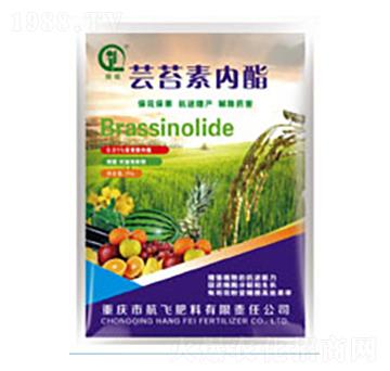 �|̦�؃���-���л���