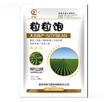 �����-���л���