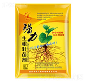 �����������焩-���л���