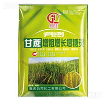 �����������L�����`-���л���