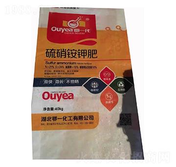 �����@⛷�-��һ����