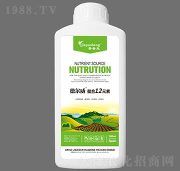 � �������12Ԫ��-������-��˼�D