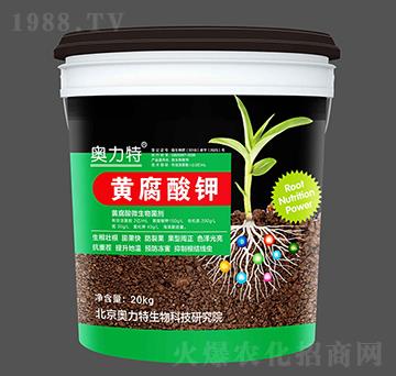 �S�����-�W����-��˼�D