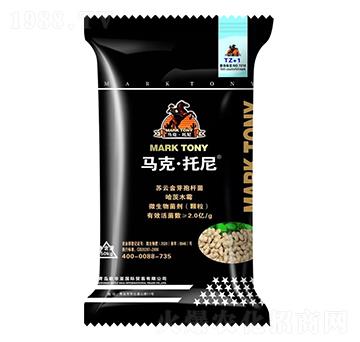 �������طN��-�R������-���ݳ���