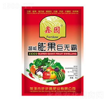 ��������ޟo��-�Έ@-