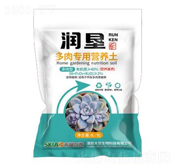 ���⌣�àI�B(y��ng)��-����-���A����