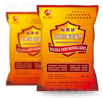 �������ز����-���ؿ�-�|����ԭ