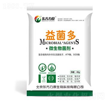 ΢�������-�����-�|����ԭ