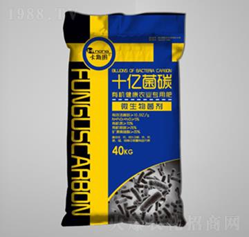 ʮ�|��̼΢�������-���r(n��ng)�r(n��ng)�I(y��)