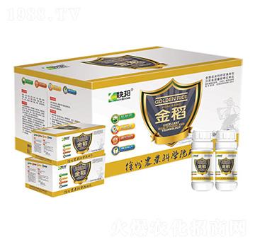 ��-�������