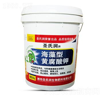 �������S�����-ʥ�ϝ�