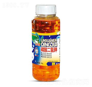 500g��������-ʥ�ϝ�(r��n)