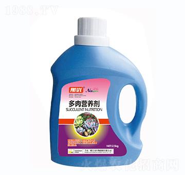 ����I�B(y��ng)��-һ������