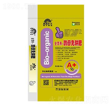 ȫ�I�B(y��ng)-��ĸ�����-�s��ʘI(y��)