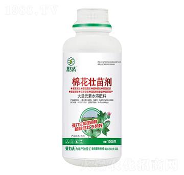 �޻����焩-� ��S