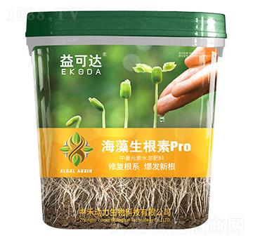 ����������pro-����_(d��)-�к̄�(d��ng)��